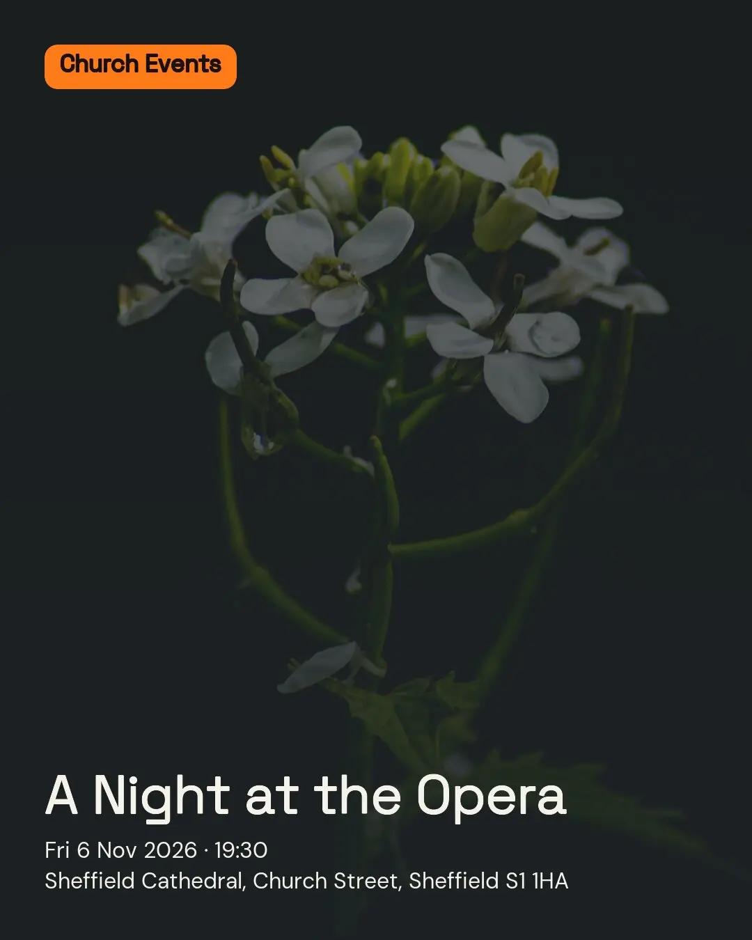 A Night at the Opera. Fri 6 Nov 2026. Sheffield Cathedral, Church Street, Sheffield S1 1HA.
