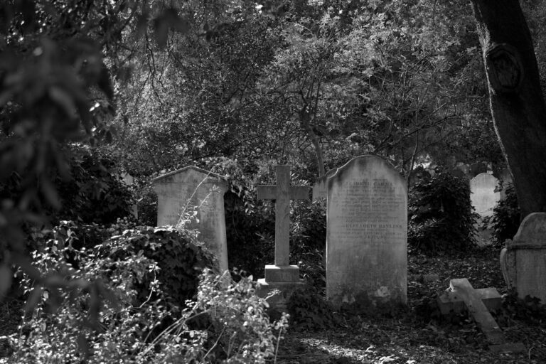 Headstones among trees and ivy in an overgrown British cemetery at dusk.