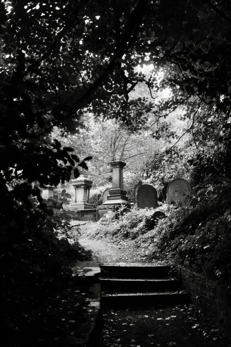 A black-and-white path through a Sheffield cemetery, lined by trees and gravestones.