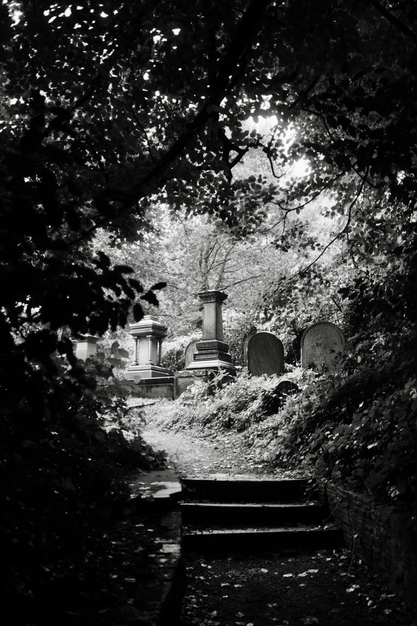 A black-and-white path through a Sheffield cemetery, lined by trees and gravestones.