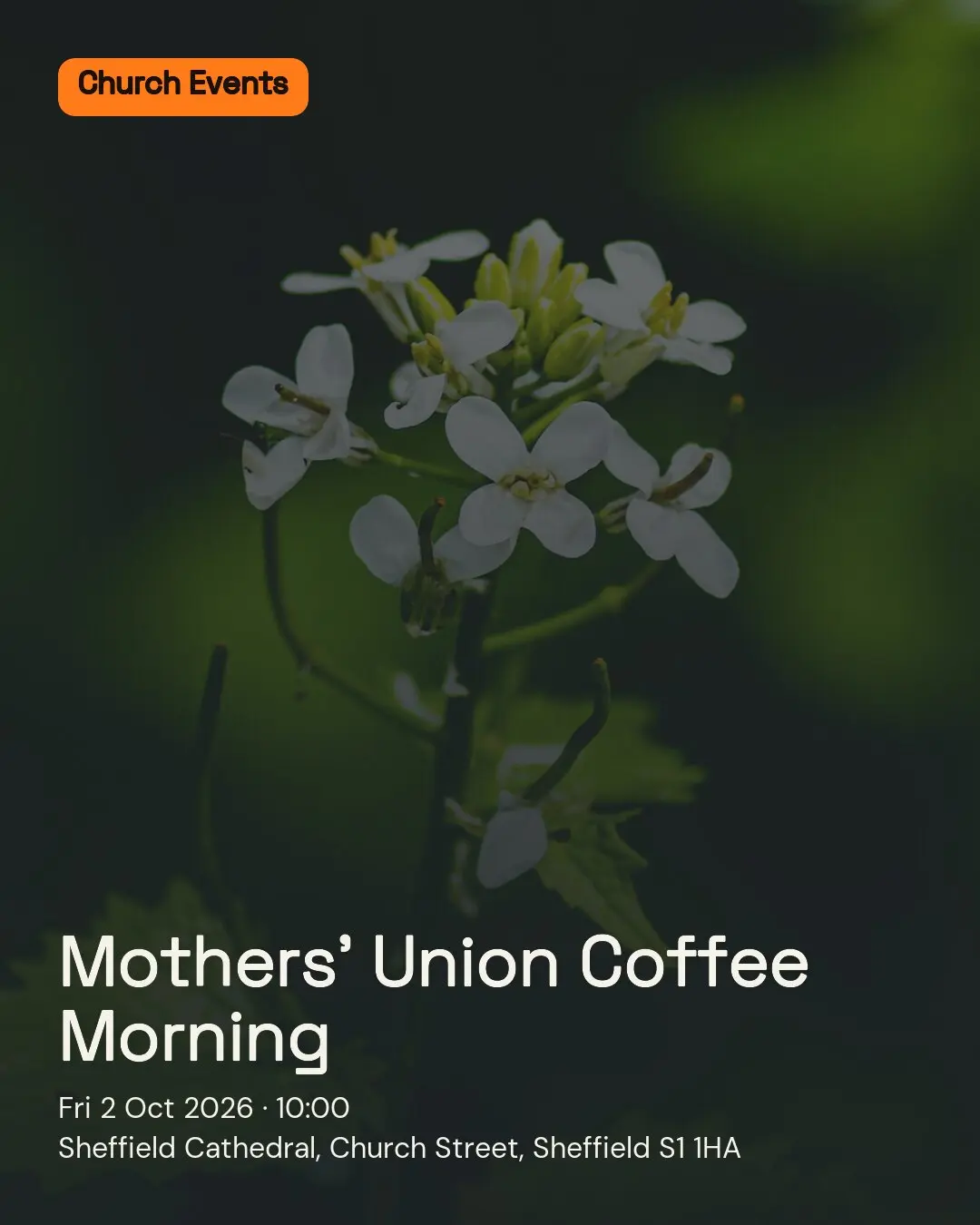 Mothers’ Union Coffee Morning. Fri 2 Oct 2026. Sheffield Cathedral, Church Street, Sheffield S1 1HA.