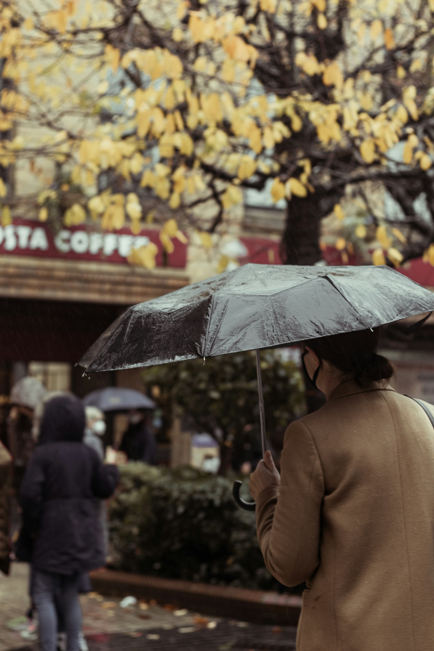 A person with an umbrella on a rainy Sheffield street