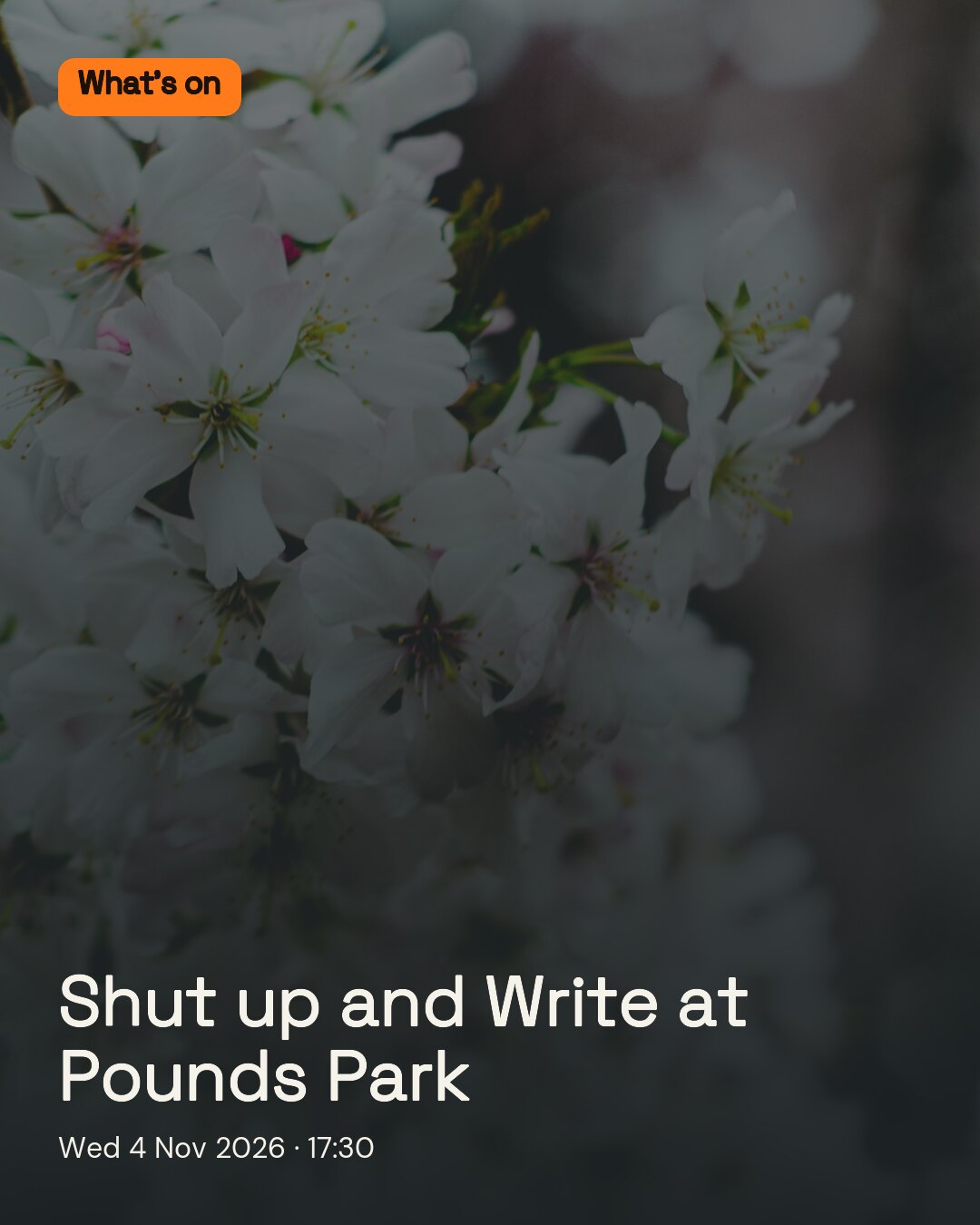 Shut up and Write at Pounds Park. Wed 4 Nov 2026.