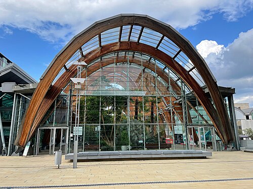 The timber arches and planting inside Sheffield Winter Garden.