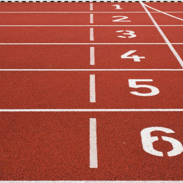 Illustrative activity photo for Track Visit